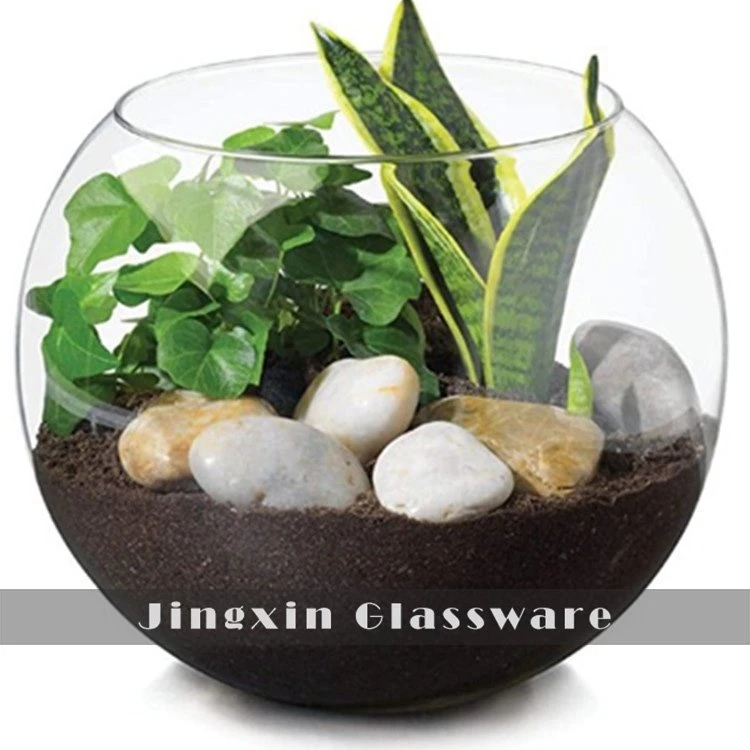 Fancy Flat Rund Engros Vase i klart glass Fiskeskål For Hjem